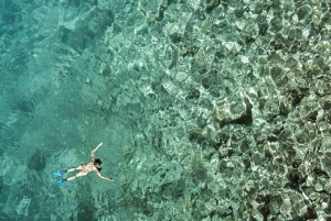 From Zanzibar: Mnemba Boat Tour with Snorkeling & Dolphine