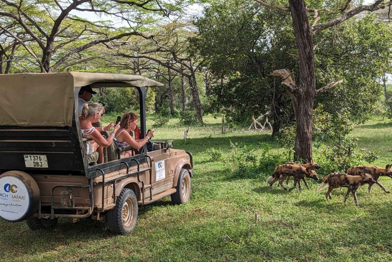 Vanuit Zanzibar: Mysteriedag safari met transfer