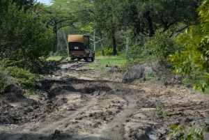 Desde Zanzíbar: Safari de un Día Misterioso con Traslado