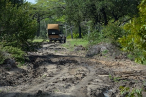 From Zanzibar: Nyerere Park and Selous Day Trip with Flights