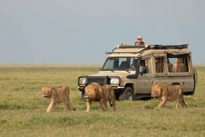 Nyerere National Park Day Safari By Flight