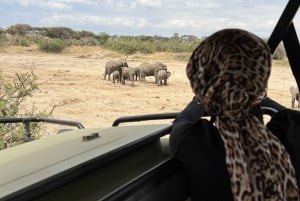 De Zanzibar: Safári no Parque Nacional Nyerere com almoço