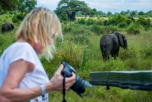 De Zanzibar: Safári no Parque Nacional Nyerere com almoço