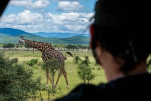 De Zanzibar: Safári no Parque Nacional Nyerere com almoço