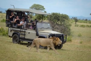 De Zanzibar: Safári no Parque Nacional Nyerere com almoço