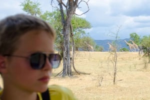 De Zanzibar: Safári no Parque Nacional Nyerere com almoço