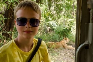 De Zanzibar: Safári no Parque Nacional Nyerere com almoço