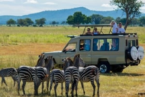 De Zanzibar: Safári no Parque Nacional Nyerere com almoço