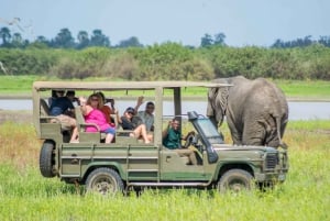 De Zanzibar: Safári no Parque Nacional Nyerere com almoço