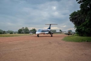 From Zanzibar: Overnight Selous G.R. Safari with Flights