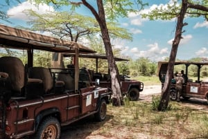 From Zanzibar: Overnight Selous G.R. Safari with Flights