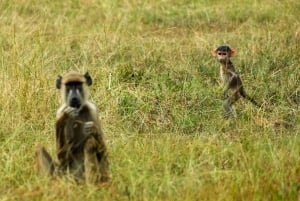 From Zanzibar: Overnight Selous G.R. Safari with Flights