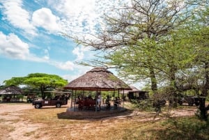 From Zanzibar: Overnight Selous G.R. Safari with Flights