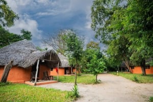 From Zanzibar: Overnight Selous G.R. Safari with Flights