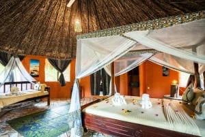 From Zanzibar: Overnight Selous G.R. Safari with Flights