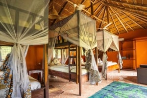 From Zanzibar: Overnight Selous G.R. Safari with Flights