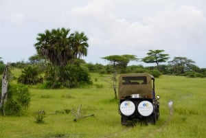 From Zanzibar: Overnight Selous G.R. Safari with Flights