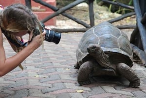 Vanuit Zanzibar: Prison Island met Nakupenda-tour