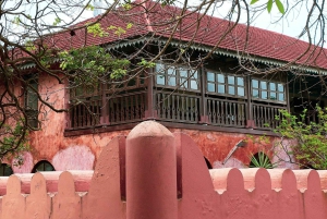 Vanuit Zanzibar: Prison Island met Nakupenda-tour