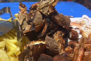 Vanuit Zanzibar: Prison Island met Nakupenda-tour