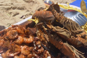 Vanuit Zanzibar: Prison Island met Nakupenda-tour