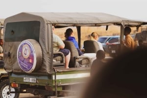 Z Zanzibaru: jednodniowe safari w Saadani z lotem i transportem