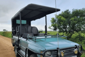 Z Zanzibaru: wycieczka 1-dniowa safari do Mikumi samolotem