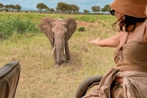 Au départ de Zanzibar : excursion safari d'une journée à Mikumi en avion