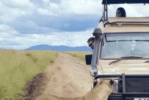 Au départ de Zanzibar : excursion safari d'une journée à Mikumi en avion