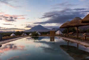 From Zanzibar: Safari Experience & Breathtaking Lake Natron