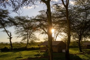 Zanzibar: 4 päivän safarimatka upealle Natronjärvelle