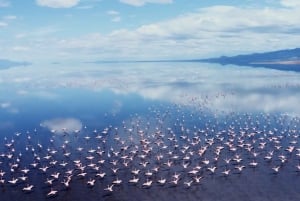 Zanzibar: 4 päivän safarimatka upealle Natronjärvelle