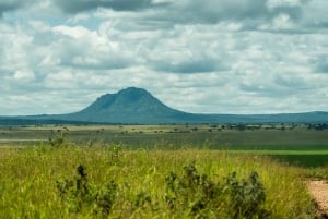 Zanzibar: 4 päivän safarimatka upealle Natronjärvelle