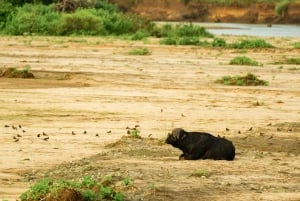 Zanzibar: 4 päivän safarimatka upealle Natronjärvelle
