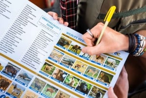 Zanzibar: 4 päivän safarimatka upealle Natronjärvelle