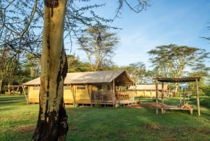 Zanzibar: 4 päivän safarimatka upealle Natronjärvelle