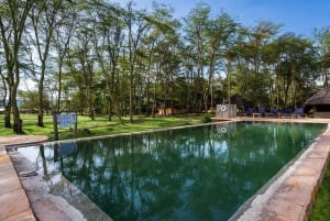 Zanzibar: 4 päivän safarimatka upealle Natronjärvelle