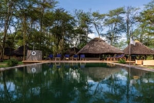 Zanzibar: 4 päivän safarimatka upealle Natronjärvelle