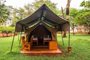 Zanzibar: 4 päivän safarimatka upealle Natronjärvelle