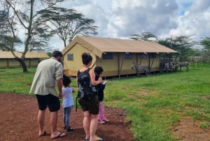 Zanzibar: 4 päivän safarimatka upealle Natronjärvelle