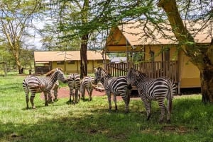 Zanzibar: 4 päivän safarimatka upealle Natronjärvelle