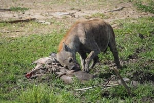Von Sansibar: 2-tägige Safari im Selous und Maasai-Dorf mit der Fähre