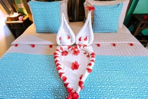 De Zanzibar: safári de 2 dias em Selous com voos e caminhada