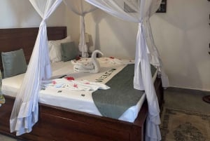 De Zanzibar: safári de 2 dias em Selous com voos e caminhada