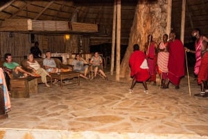 De Zanzibar: safári de 2 dias em Selous com voos e caminhada