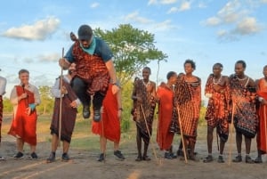 De Zanzibar: safári de 2 dias em Selous com voos e caminhada