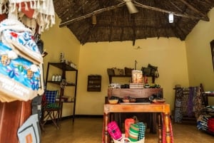 De Zanzibar: safári de 2 dias em Selous com voos e caminhada