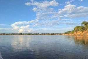 De Zanzibar: safári de 2 dias em Selous com voos e caminhada