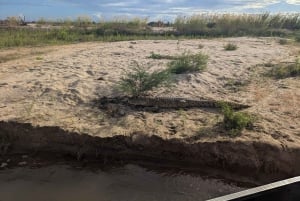 De Zanzibar: safári de 2 dias em Selous com voos e caminhada