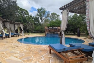 De Zanzibar: safári de 2 dias em Selous com voos e caminhada